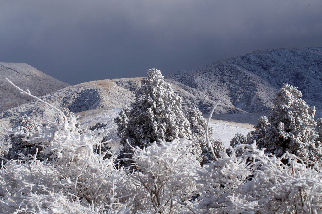 阿蘇の冬光 02