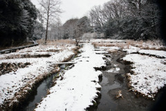 立春の雪景色（市川自然観賞園） 02