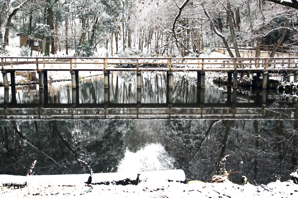 立春の雪景色（市川自然観察園） 09
