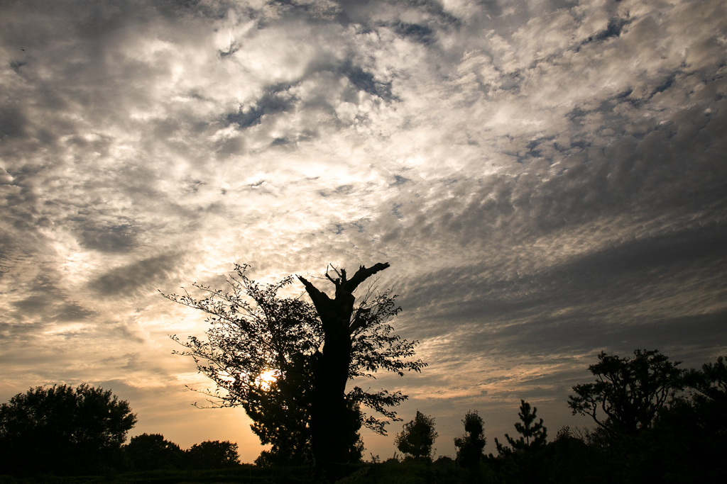 激変・初秋の夕空02