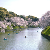 クライマックス 千鳥ヶ淵.01
