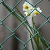 雪の華 04