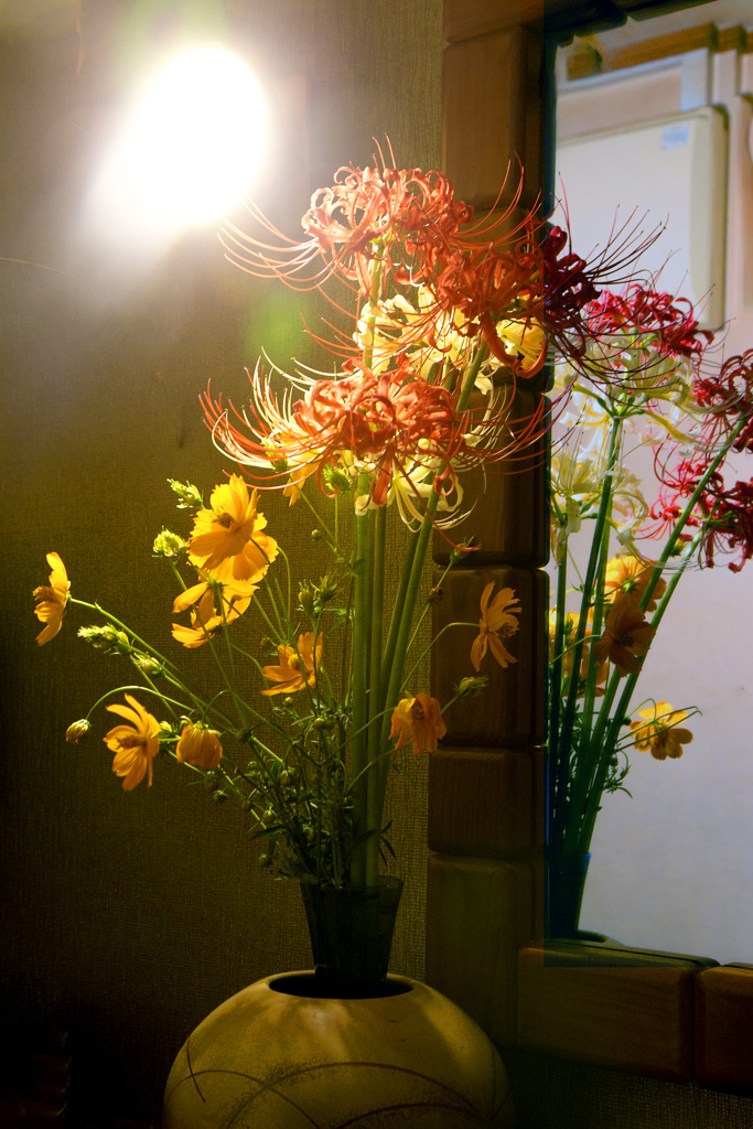 曼珠沙華 01