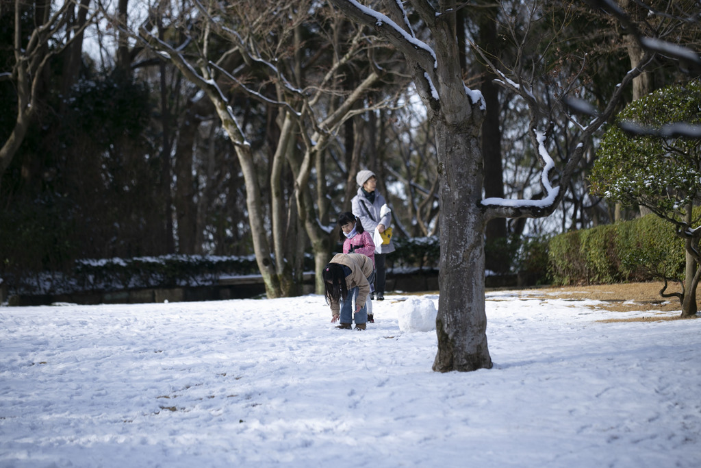 立春の雪景色（八重の紅梅） 10