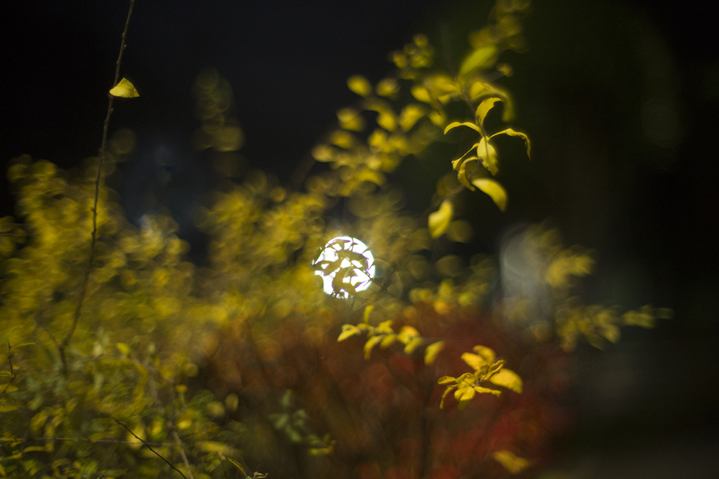 オールドレンズ ①