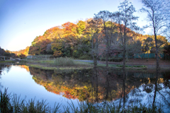 初冬の水鏡 01