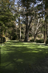 深山幽谷の古刹・小松寺 04