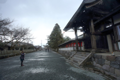 阿蘇神社 02