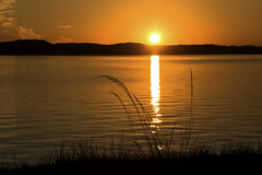 初秋の茜 （北浦・鹿島市）11