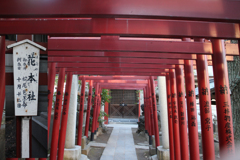 遅ればせながら初詣 04