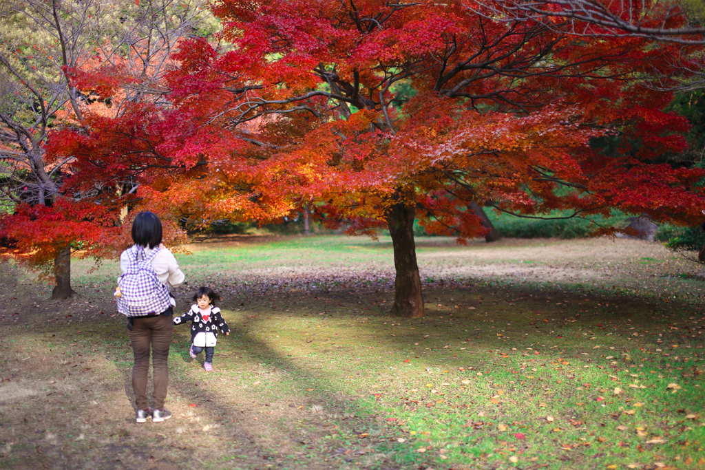 晩秋の彩（大宮公園） 08