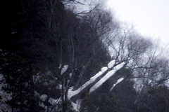 奥利根の雪景 05