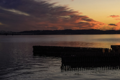 初秋の茜 （北浦・鹿島市）16
