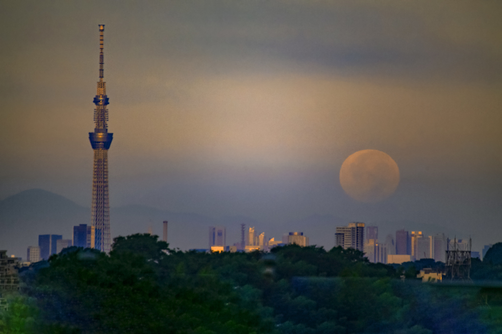 夜明けの満月 02