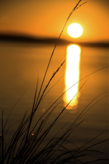 初秋の茜 （北浦・鹿島市）12