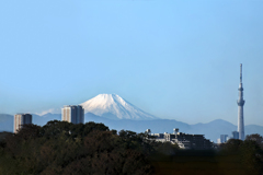 今季1番の秋空