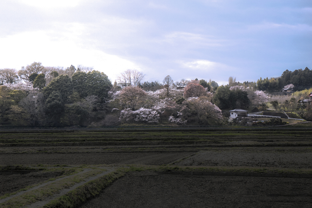 走行寸景