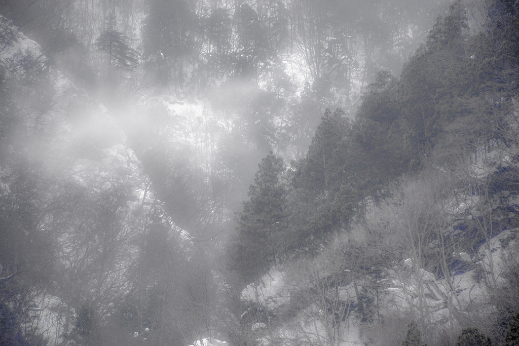 奥利根の雪景 10
