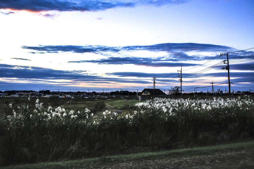 11.0４夕景- 02