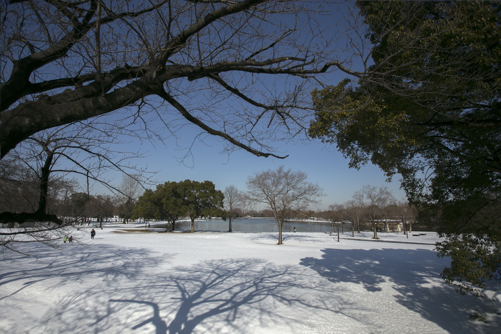 雪の日 07