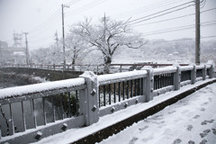 お正月の大雪 02