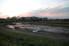 とある日の夕景 01