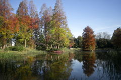 水元公園秋景色 02