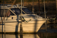 初秋の茜 （北浦・鹿島市）06
