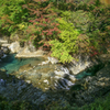 紅葉 VS emerald green 01