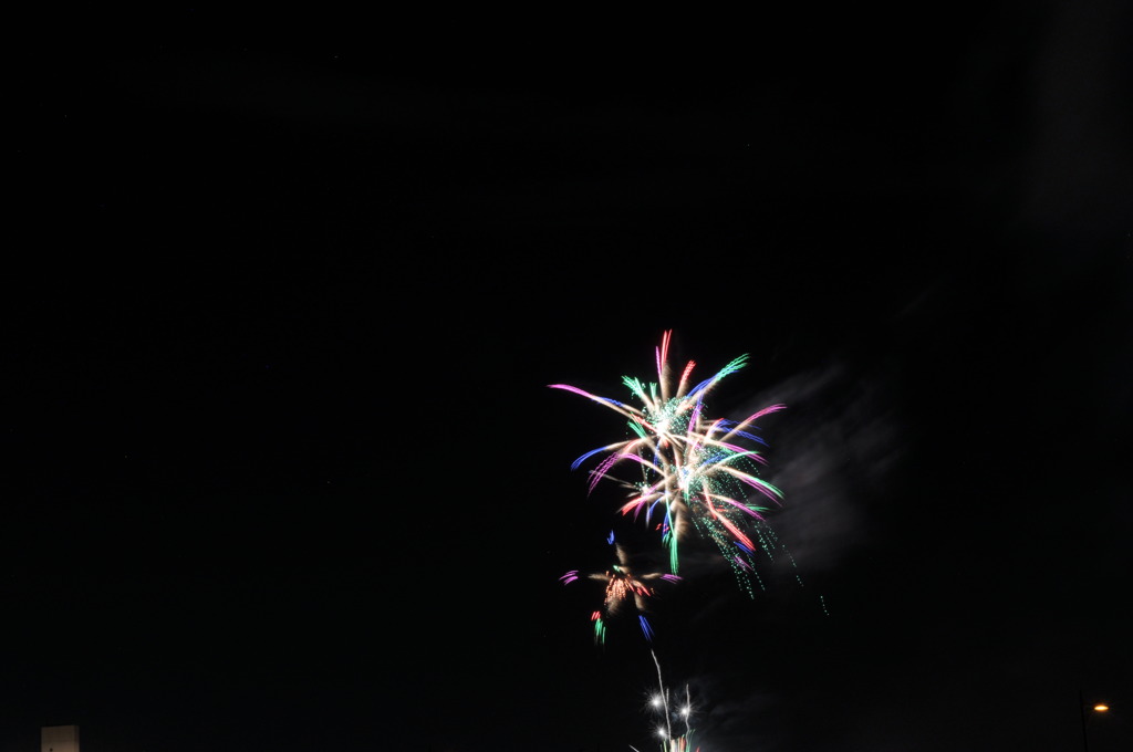 DSC_0271