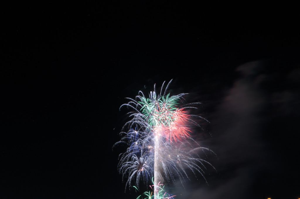 DSC_0351