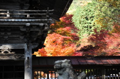 大矢田神社