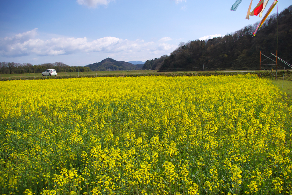 また見たい風景