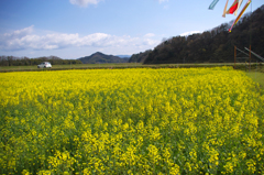 また見たい風景