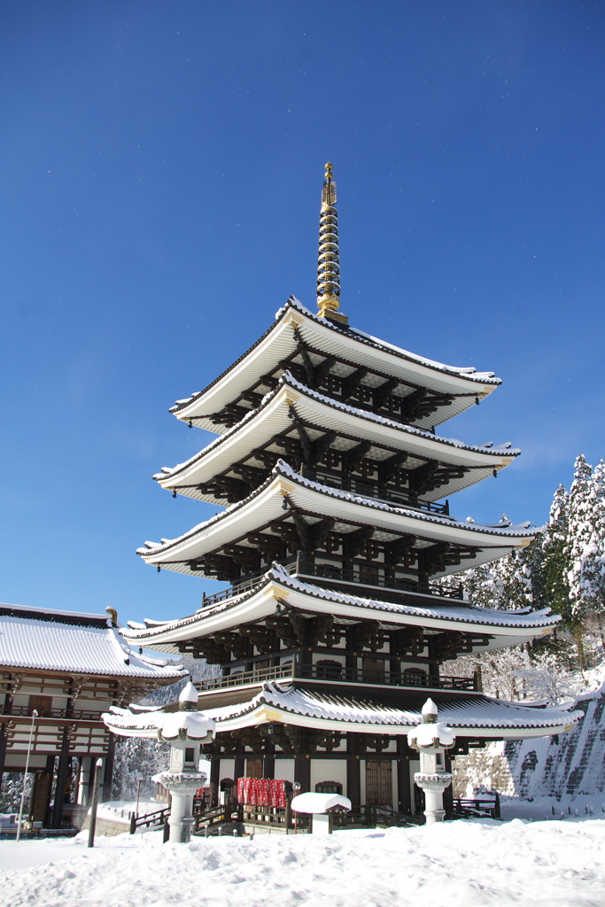 初春の空