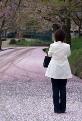 sakura road