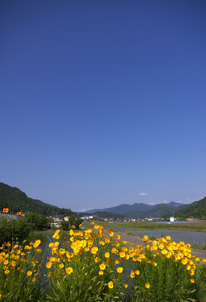 水無月の空