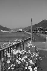 歩道