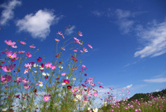 blue sky