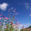 blue sky