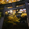 鳥居と朝日