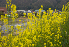 生まれ育った町