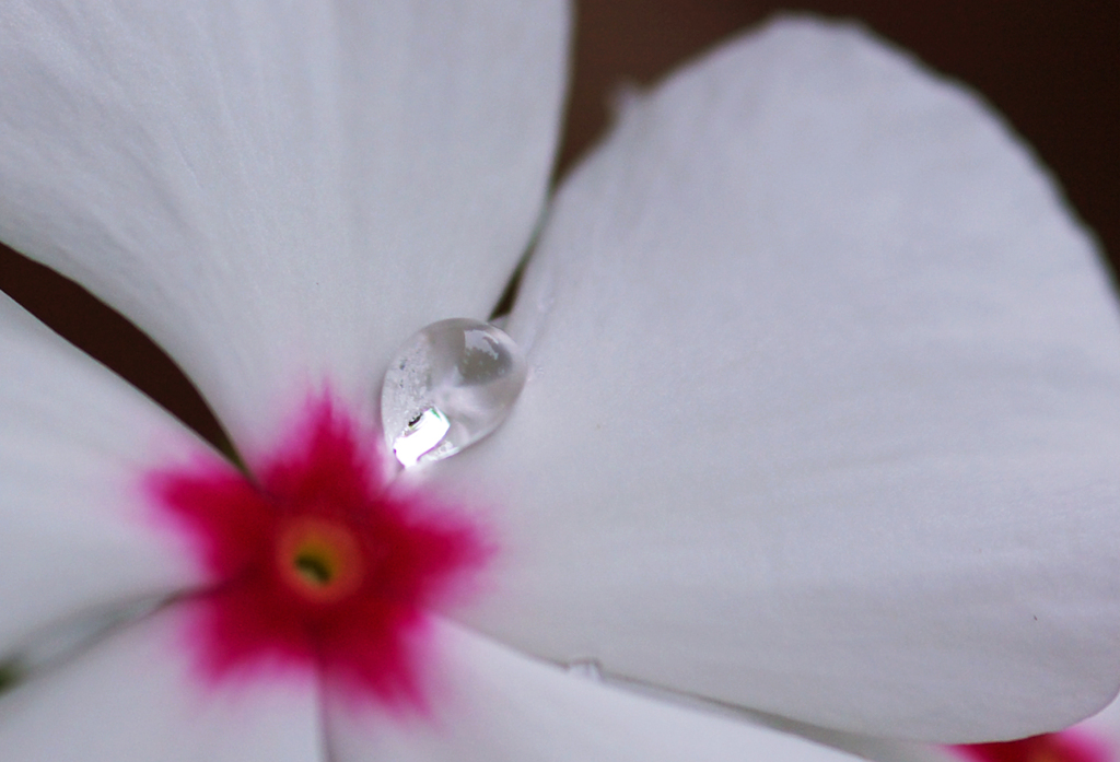 star and drop