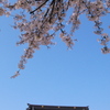 爛漫