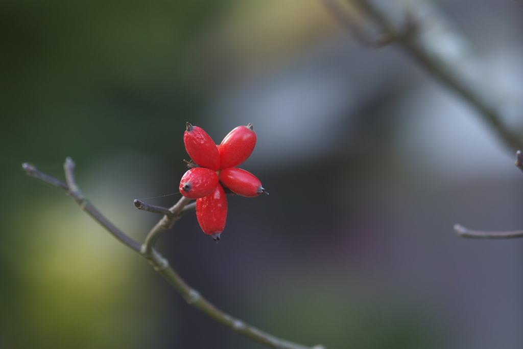 10月31日