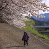 花の下の坂道