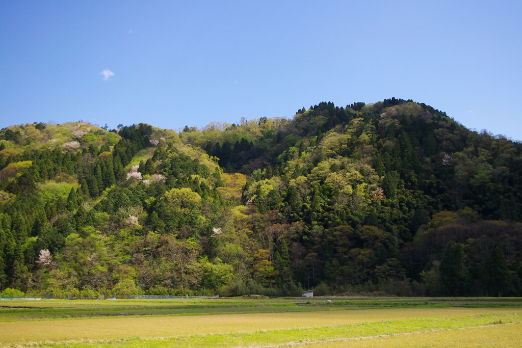 野よ　山よ