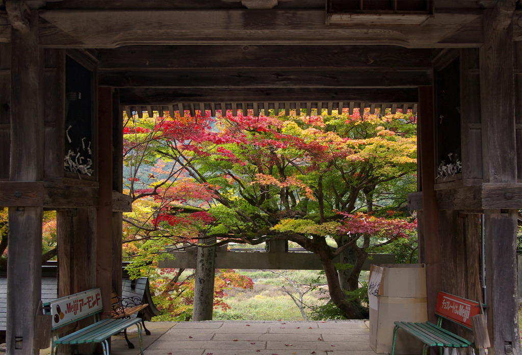 鳥居