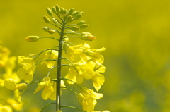 3月