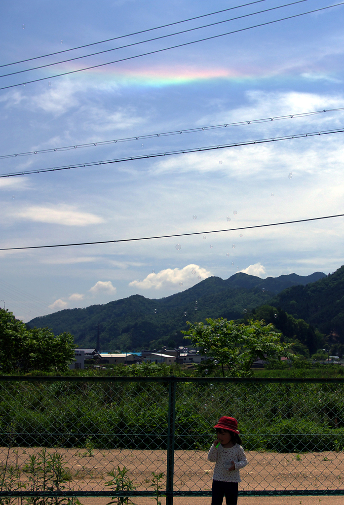 初夏の空